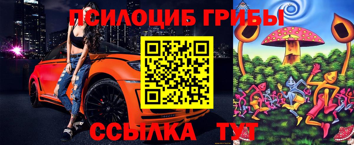 Мирный  Галлюциногенные грибы MAGIC MUSHROOMS  Вход с VPN 